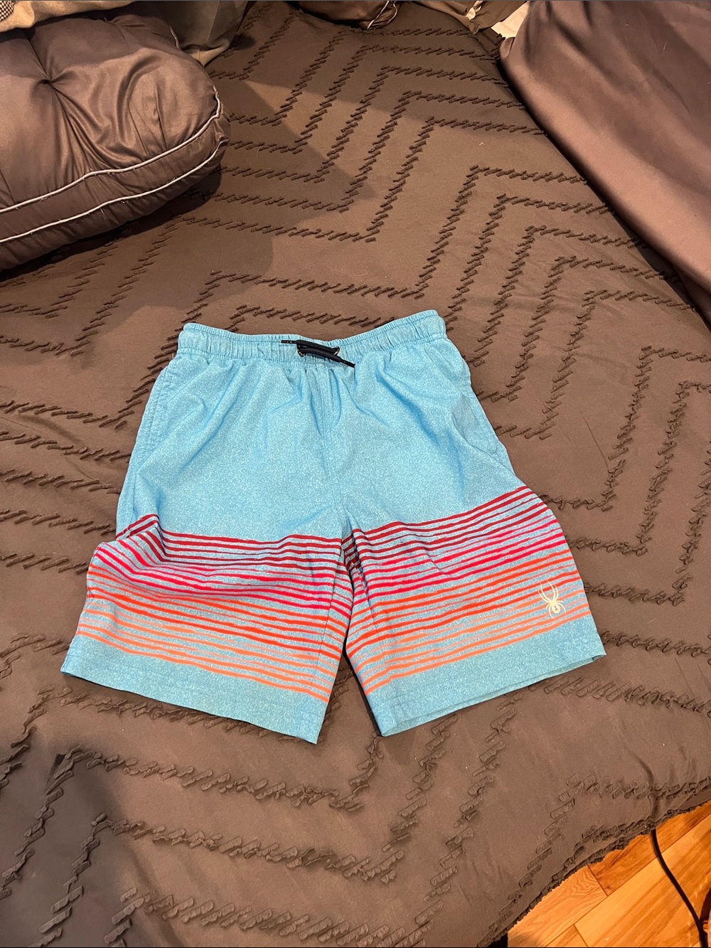 Kids Light Blue Striped Swim Shorts with Multicolor Accent